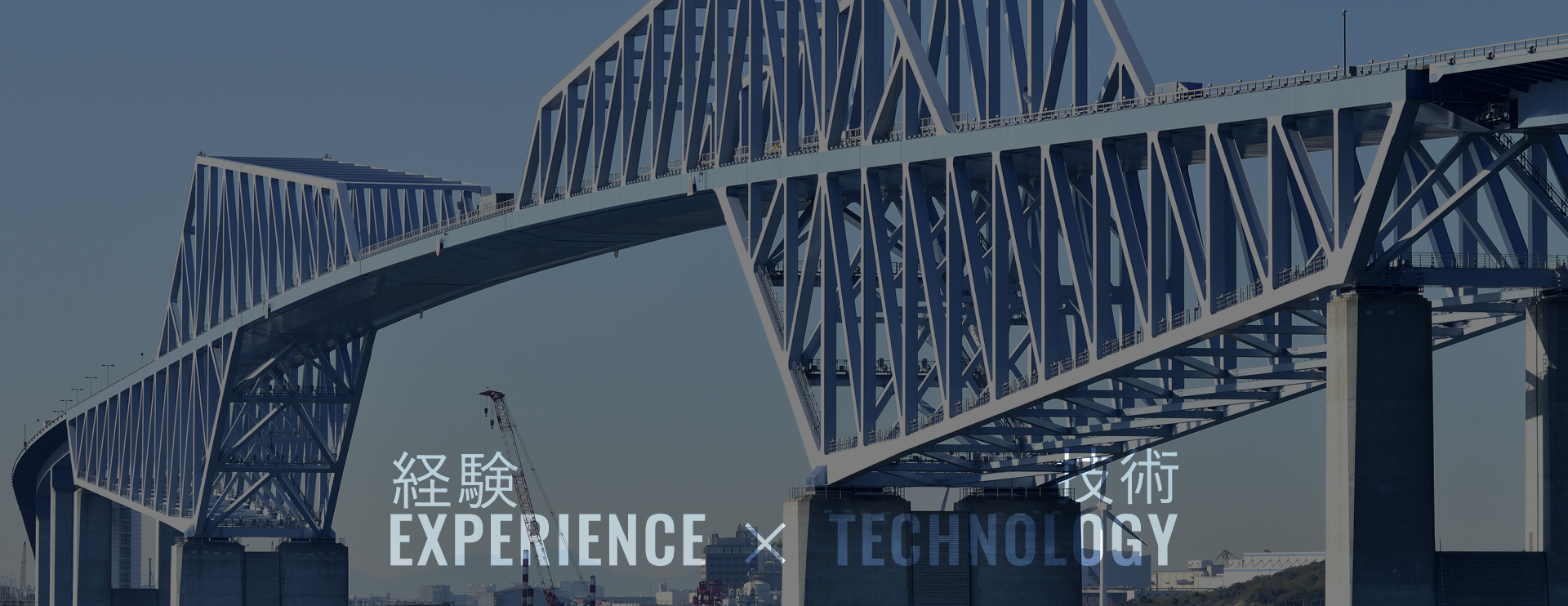 経験×技術　EXPERIENCE×TECHNOLOGY